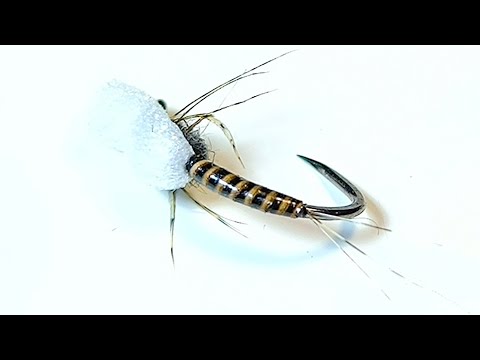 Quill Body Mayfly Emerger/ Dry Fly. #flytying #flyfishing #dryfly #mayfly #troutfishing #troutflies 