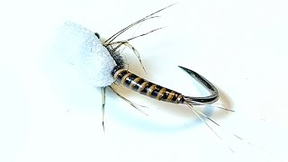Quill Body Mayfly Emerger Dry Fly.