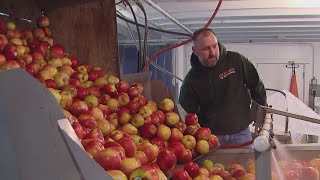 Kohr Explores: Bauman's Harvest Festival gears up for pumpkin season