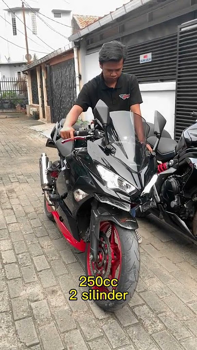 Beda Suara Moge 2 Silinder 250 cc VS 650 cc (Cek Komentar) #short #moge #kawasaki #ninja250 #er6n