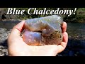 Beautiful Creek Treasures! Hunting for and Cutting Agates from a Mountain Stream!