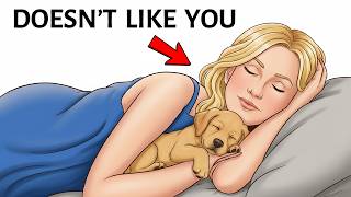 14 Signs Your Dog Doesn’t Love You (Most Owners Miss This)