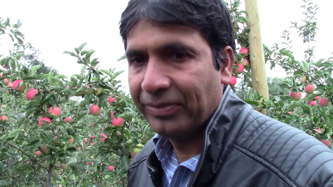 Apple Harvester, Coldstream BC