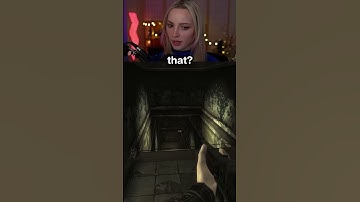 COMPANIONS in Fallout New Vegas 💀