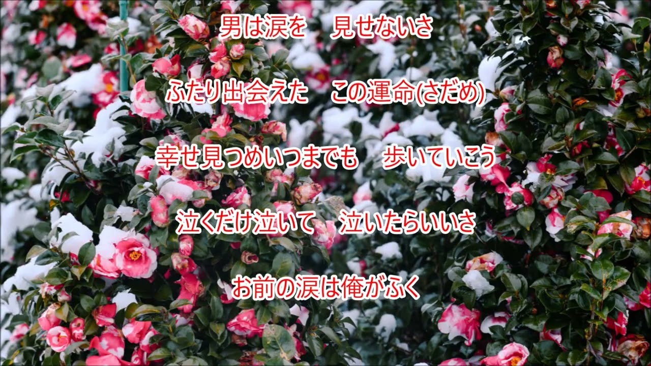 ❤【新曲】お前の涙は俺がふく／川神あい／cover／teruchan♪2026