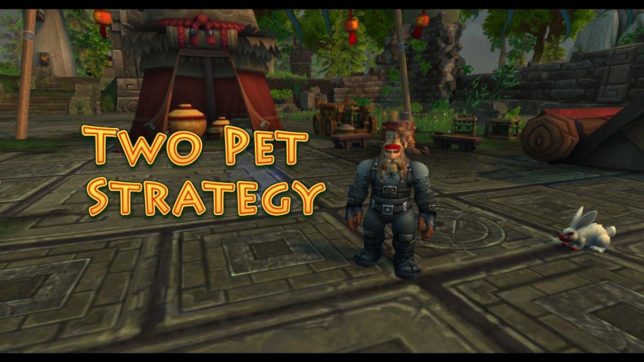 Sully (Celestial Tournament) Two Pet Strategy