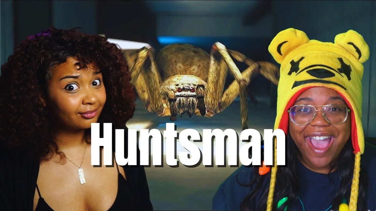 We LOVE Spiders w/ @AyChristeneGames