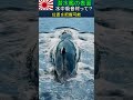 潜水艦の表面に貼られている水中吸音材って何？　#潜水艦　#海上自衛隊　#jmsdf