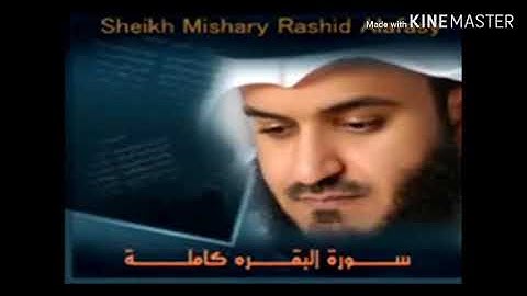 حفظ سورة البقرة من الآية 20 الى الايه 40
