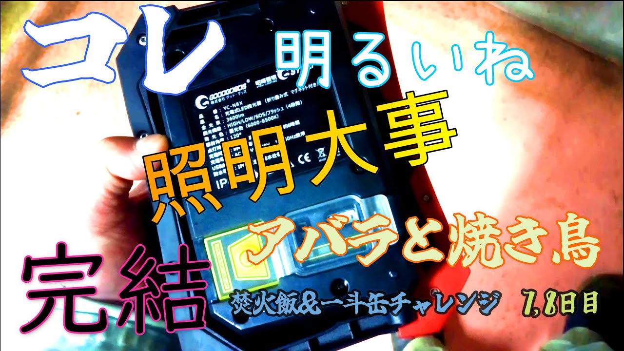 新型の照明でどんくらい明るくなるかやってみた【キャンプ・camping】《焼き鳥》【焚火/campfire】