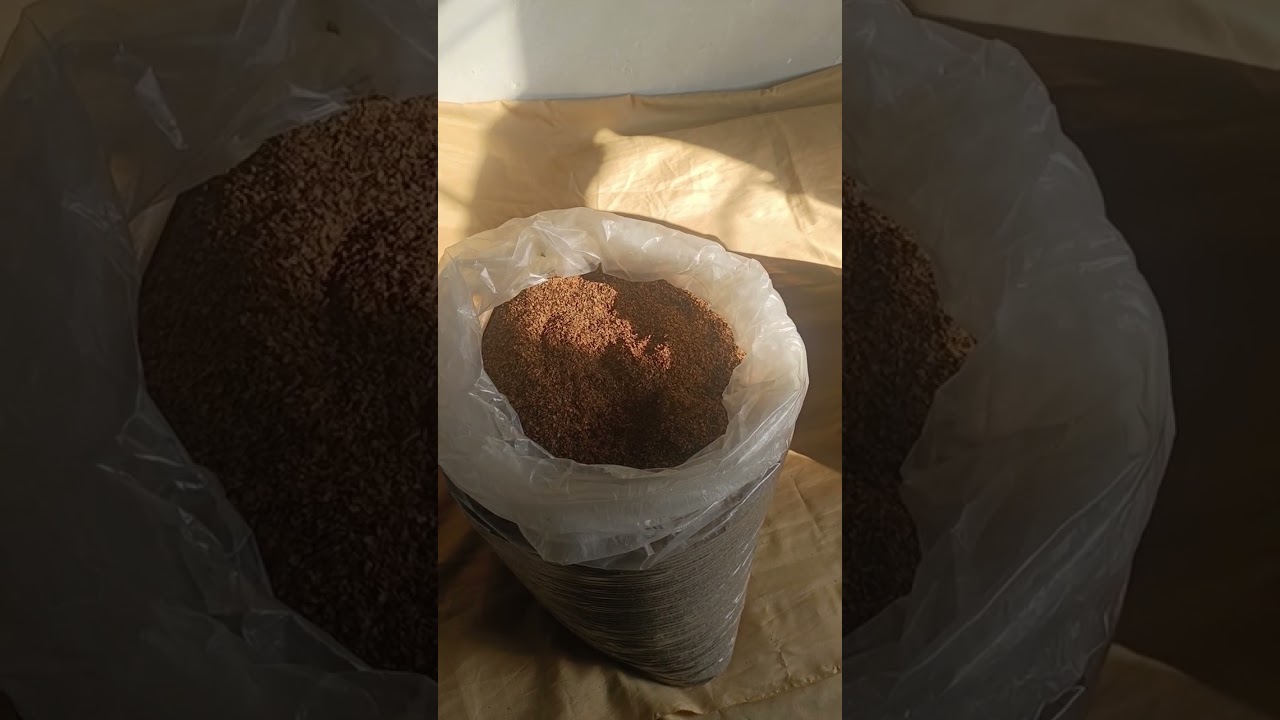 Запах чернослива и как получился первый кавендиш ( без вторичных и тем более спиртных ингредиентов).