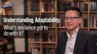 Understanding adaptability: What&#39;s resilience got to do with it?