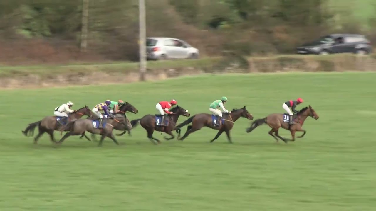 P2P - Killeagh - 18 Jan 26 - R2 Tatts Ireland Winter Sale & Creighmore Stables 5yo Geldings Mdn