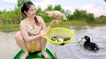 Cận Cảnh CHIM LẶN Bắt Dính Cá Dưới Đáy Ruộng Nước Sâu