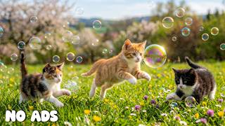 This Music Instantly Calms Cats 🐾🌙 12 HOURS Relaxing Cat Sleep Sounds 🌙 No ADS screenshot 3