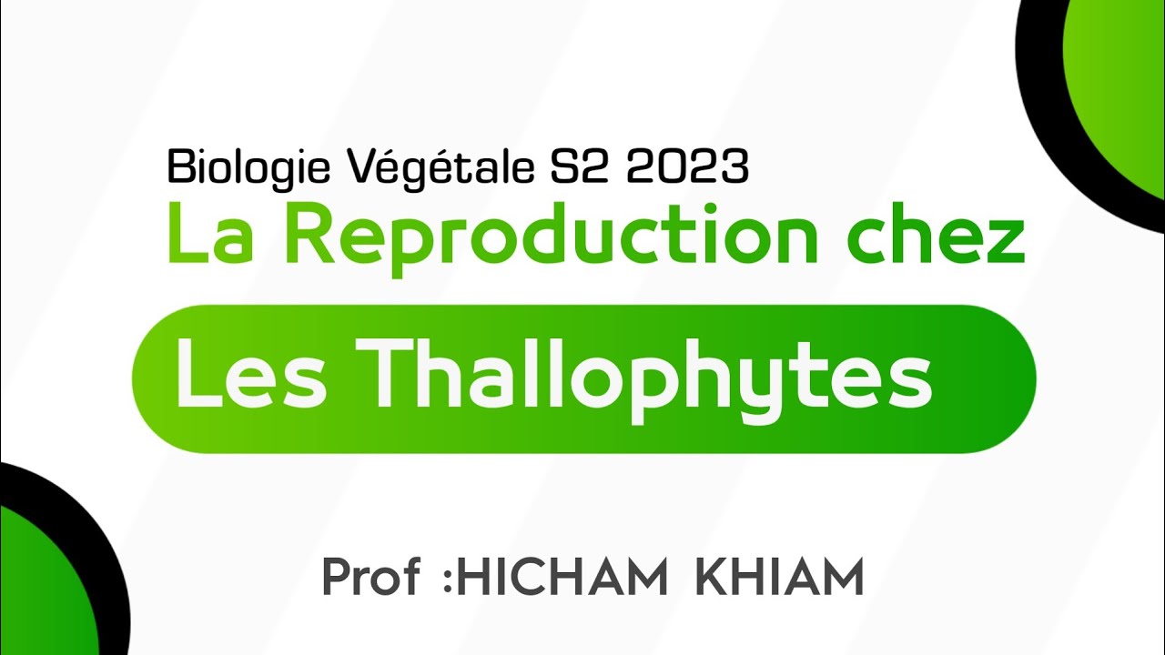 La Reproduction chez les Thallophytes | les Algues | #S2 #svt