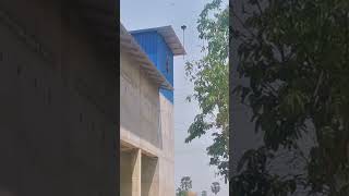 31 May 2025