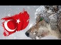 KORKMALISINIZ, Türkiyede YAŞAYAN En VAHŞİ 10 Hayvan
