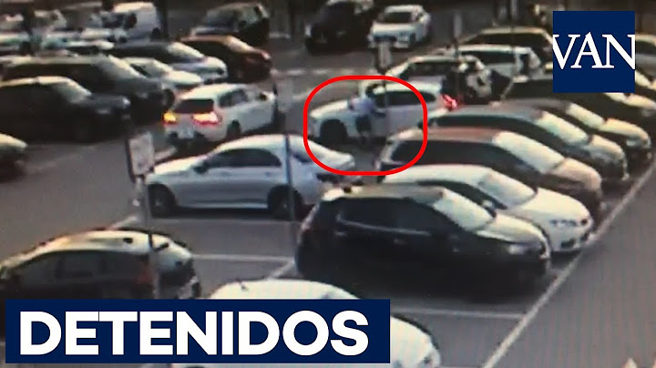 Detenidos dos ladrones por robar un botín de 237.000 euros en el aeropuerto de Barcelona