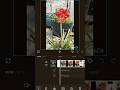How to edit video in capcut without watermark and logo.#capcut #watermark #logodesign