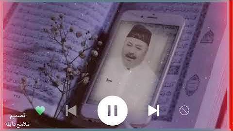 اجمل تلاوه قرانيه حالات واتس اب عامر الكاظمي حالات واتس اب القرآن الكريم مقاطع دينيه قصيره ✨❤🌸