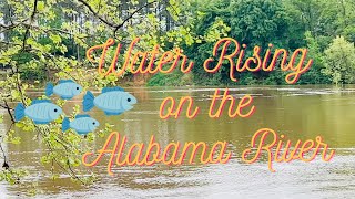 Waters Rising on the Alabama River + Time to Evacuate to Higher Ground