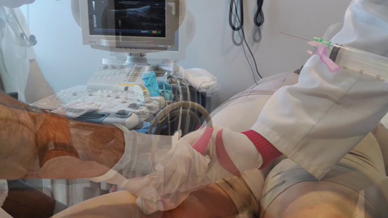 Ecografía clínica en Medicina Familiar