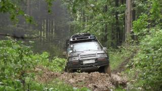 Карпатский гамбец Offroad crazy