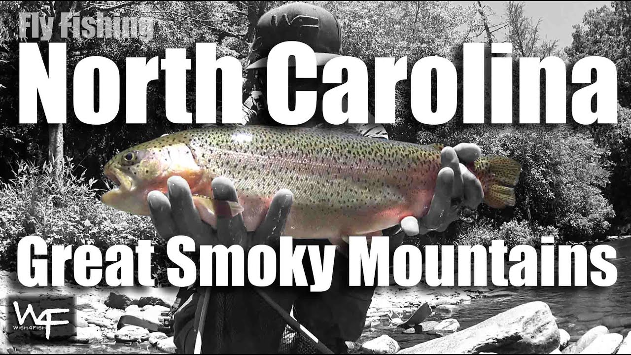 W4F Fly Fishing North Carolina "Great Smoky Mountains" YouTube