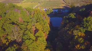 The Hidden Treasures in the West Virginia Hills