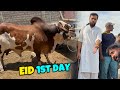 Eid ka pehla din aur hum qasai ban gae 😳