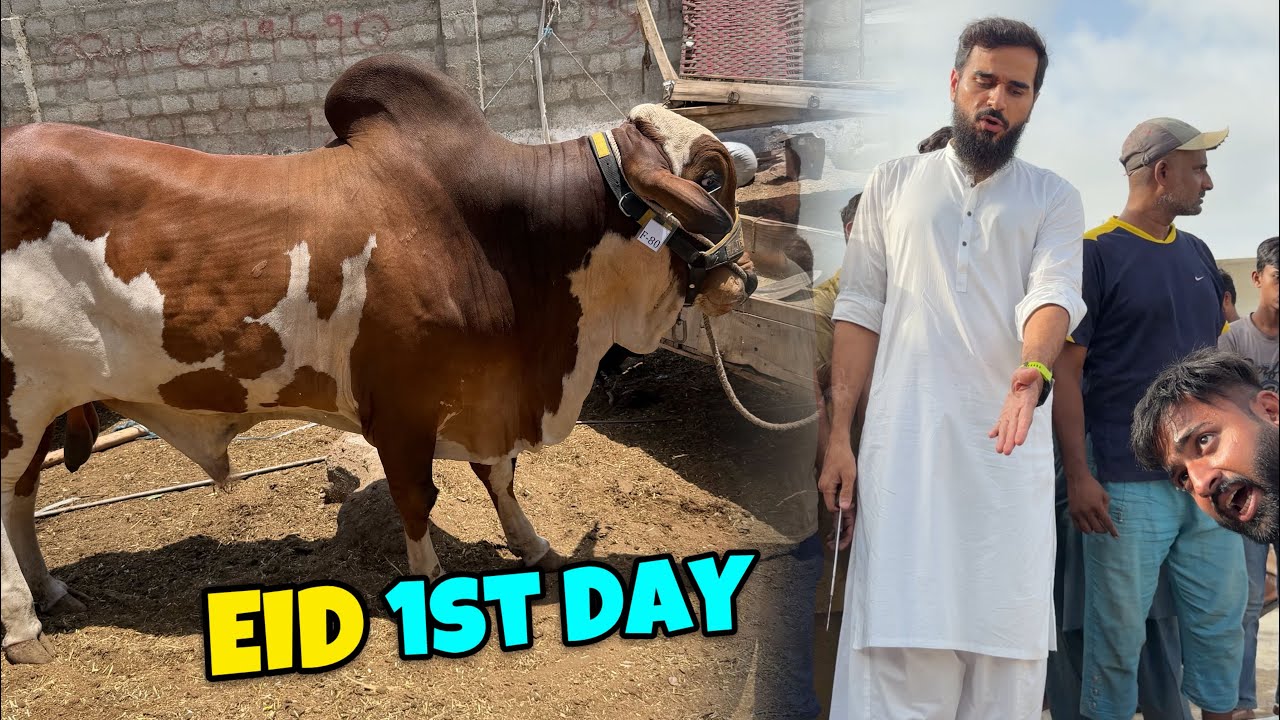 Eid ka pehla din aur hum qasai ban gae 😳
