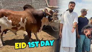 Eid Ka Pehla Din Aur Hum Qasai Ban Gae