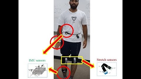 Human Activity Recognition (HAR) | Data Collection | IMU and Stretch Sensors