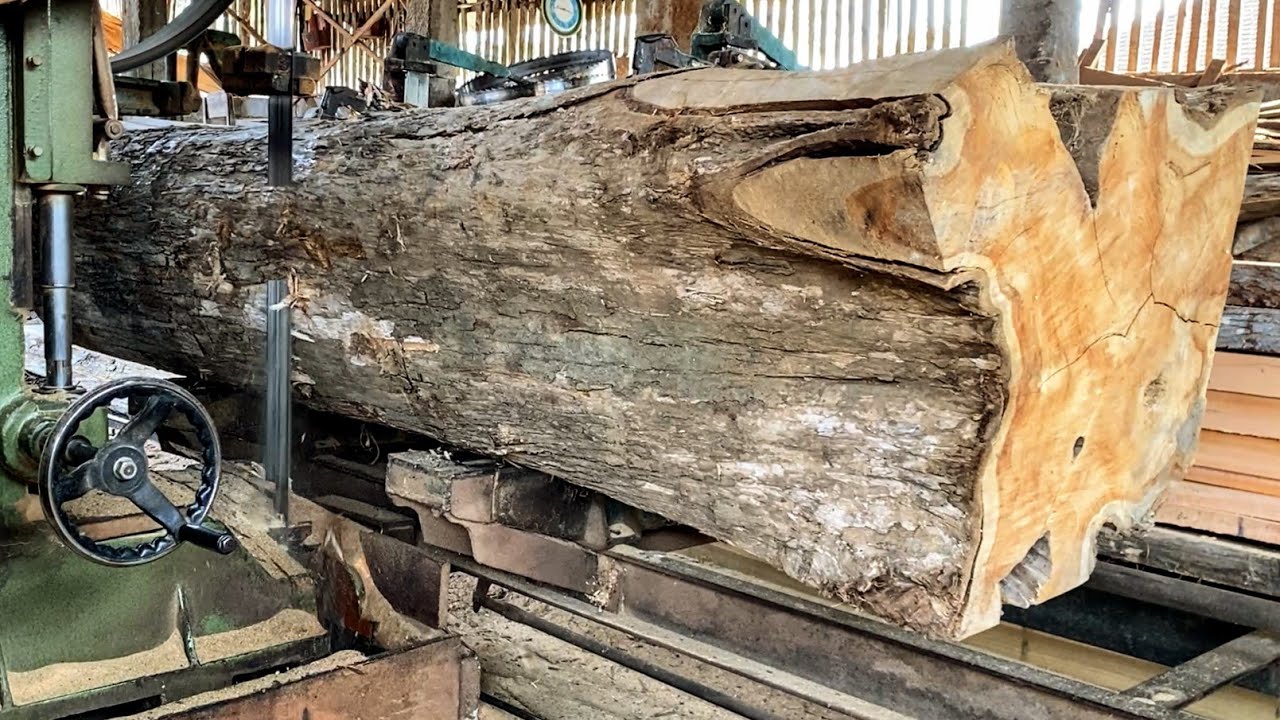 Producing quality teak wood planks from large-sized teak wood