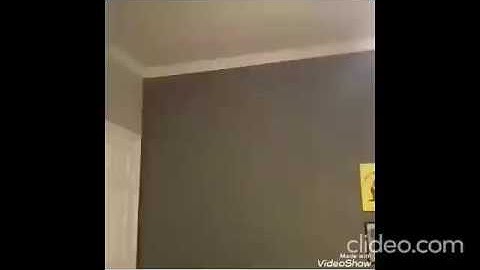 Deadly Six Vines |Part 1|