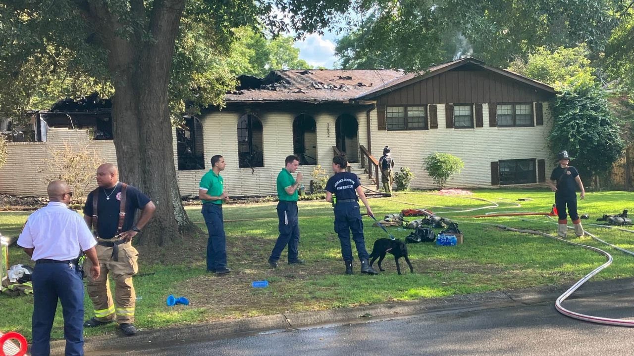 3 dogs killed in house fire, DeKalb County fire department says - YouTube