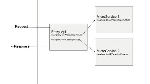 Asp.Net Core proxy middle ware