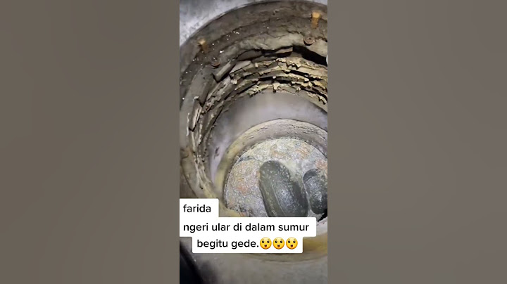 viral video ‼️ penampakan ular besar di dalam sumur😱#ular #ularbesar #ularberbahaya #sumur #shorts