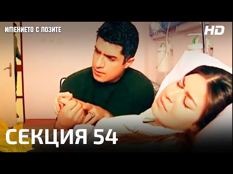 Видео: Как свидетелствате в съда?