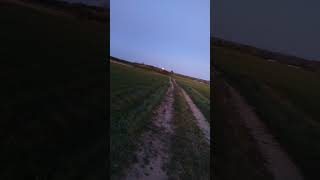 Szkoda że tel nie oddaje 🙁 #nature