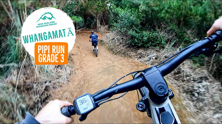 If flow is your vibe.. this is for you - Pipi Run, Whangamatā