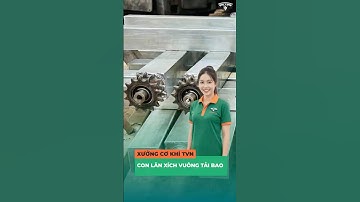 Con lăn xích vuông tải bao hàng | Xưởng cơ khí TVN #TVN #conlan #bangtai #conlanthep #conlanxich