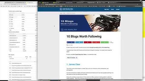 Lifehacker Guy WP Speed Fix Audit