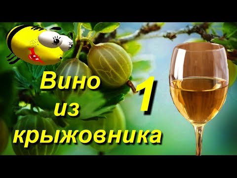 Вино из крыжовника в домашних условиях рецепт видео