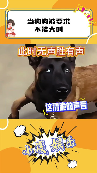 狗：你听我这快板打的咋样