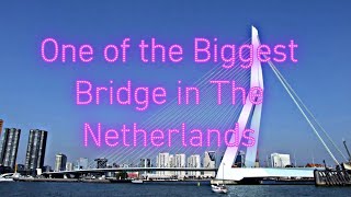 A walk across Erasmus Bridge (Erasmusbrug) Rotterdam