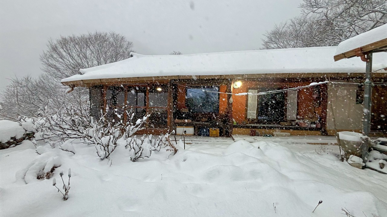 Сельский дом, засыпанный снегом | Битва Бульбуля | кто разбил горшок? 🪴❄️ | Ручное шитье