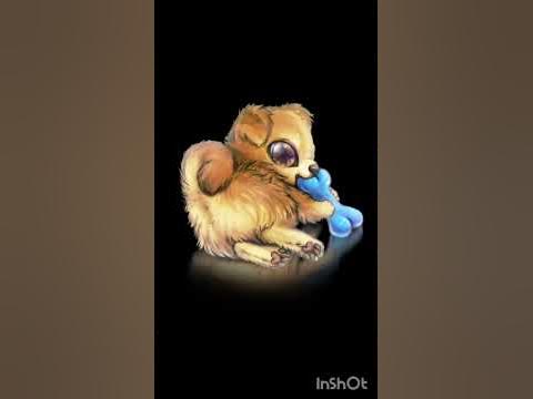 СОБАЧКИ МИЛАШКИ♡♡♡ - YouTube