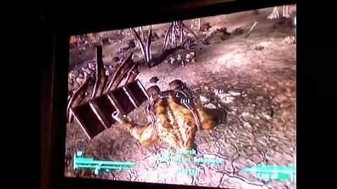 Fallout 3 Glitch